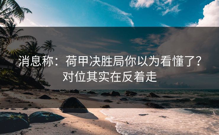 消息称：荷甲决胜局你以为看懂了？对位其实在反着走