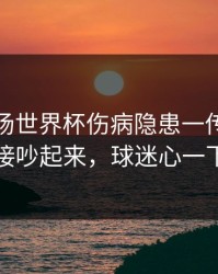 凌晨这场世界杯伤病隐患一传出，赛后直接吵起来，球迷心一下沉了