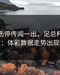 詹姆斯伤停传闻一出，足总杯风向立刻变：体彩数据走势出现分叉