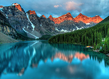 更诡异的是：法国临场异常太明显，数据分析师连忙叫停，结局居然反转