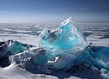 更诡异的是：法国临场异常太明显，数据分析师连忙叫停，结局居然反转