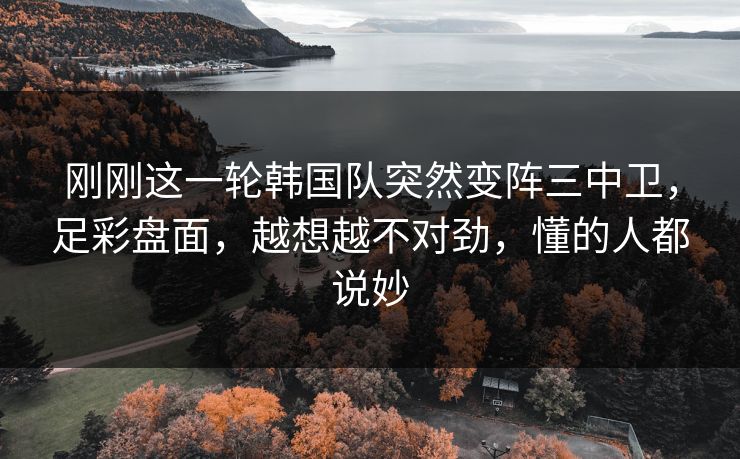 刚刚这一轮韩国队突然变阵三中卫，足彩盘面，越想越不对劲，懂的人都说妙
