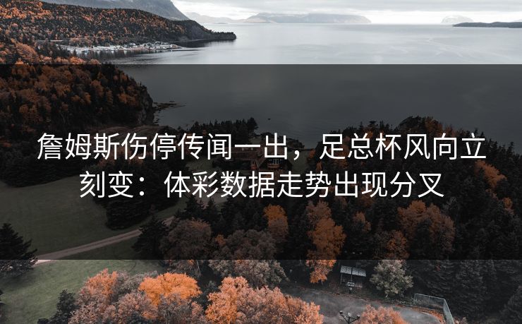 詹姆斯伤停传闻一出，足总杯风向立刻变：体彩数据走势出现分叉